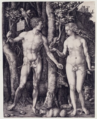  door Albrecht Dürer