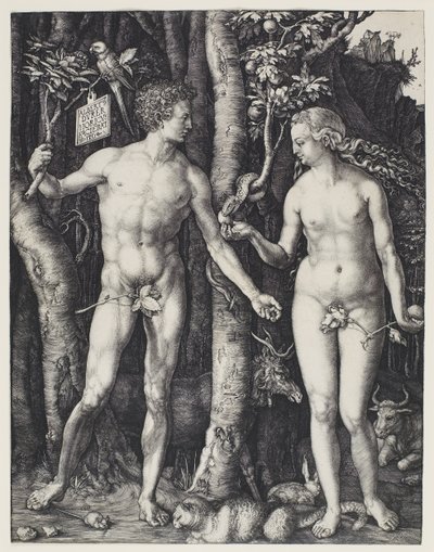 Adam en Eva door Albrecht Dürer