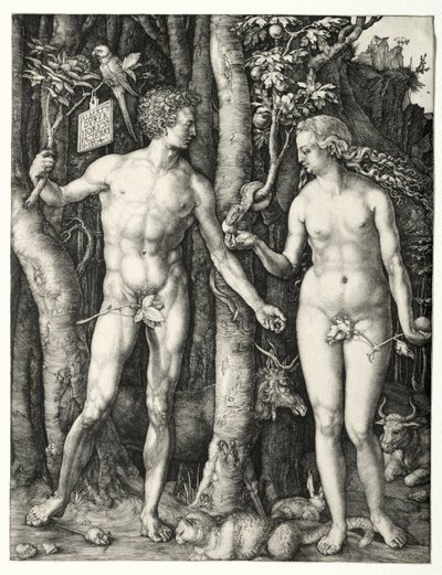 Adam en Eva, 1504 door Albrecht Dürer