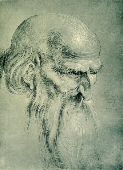 Apostelhoofd door Albrecht Dürer
