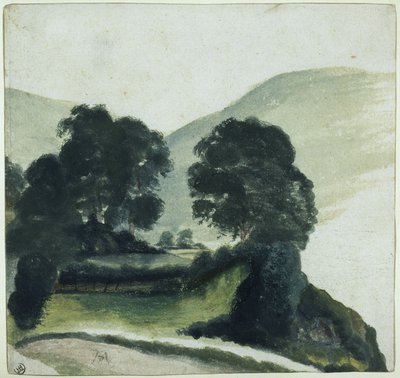 Boomgroep met pad in de bergen door Albrecht Dürer