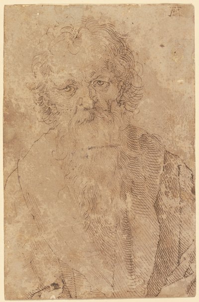  door Albrecht Dürer