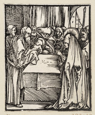  door Albrecht Dürer