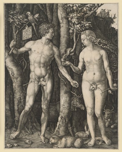  door Albrecht Dürer