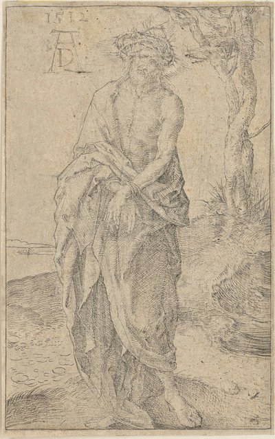  door Albrecht Dürer