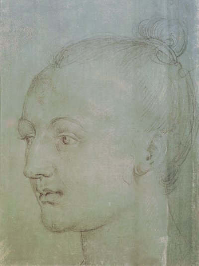 Hoofd van een jonge vrouw door Albrecht Dürer