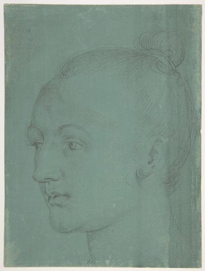  door Albrecht Dürer