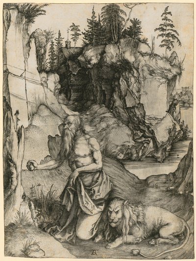  door Albrecht Dürer