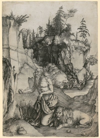  door Albrecht Dürer