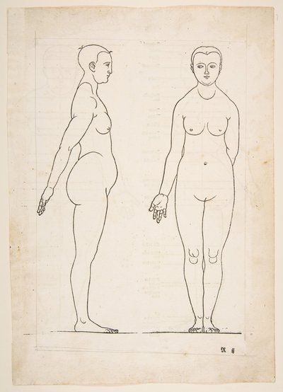 Illustratie uit Dürers Vier Bucher von Menslicher Proportion, Neurenberg, 1528 door Albrecht Dürer