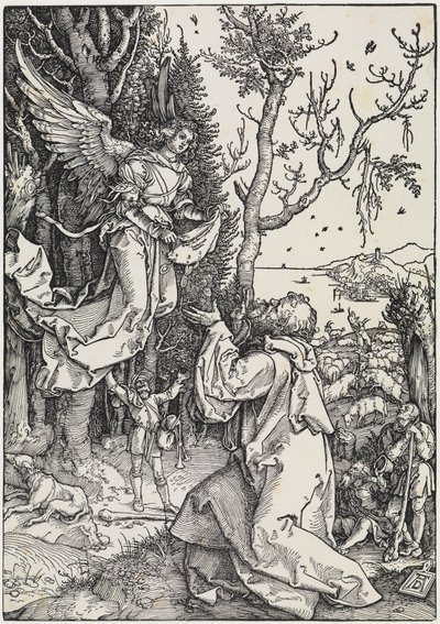 Joachim op het veld door Albrecht Dürer