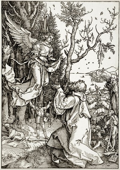  door Albrecht Dürer