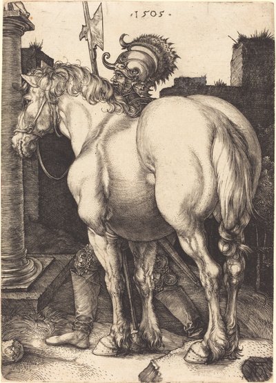 Groot Paard door Albrecht Dürer