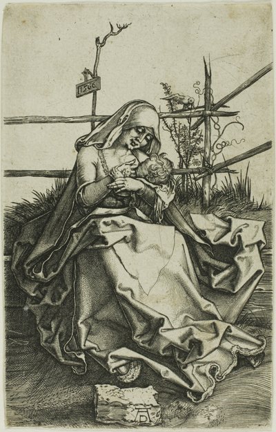 Madonna op een Grasrijke Oever door Albrecht Dürer