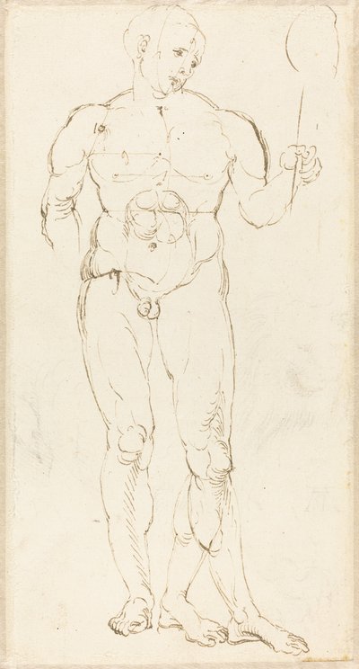 Mannelijke naakt met een spiegel (recto) door Albrecht Dürer