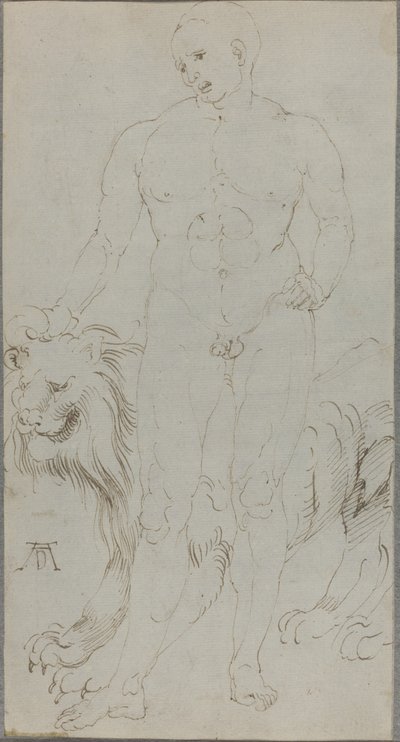 Mannelijke naakt met een leeuw (verso) door Albrecht Dürer