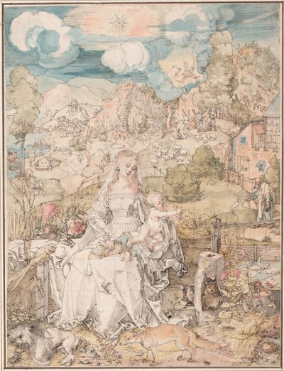 Maria tussen een menigte dieren, ca. 1503 door Albrecht Dürer