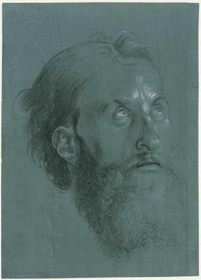  door Albrecht Dürer