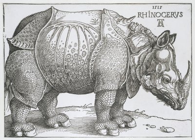 Neushoorn door Albrecht Dürer