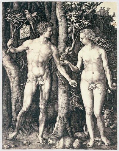 De erfzonde door Albrecht Dürer