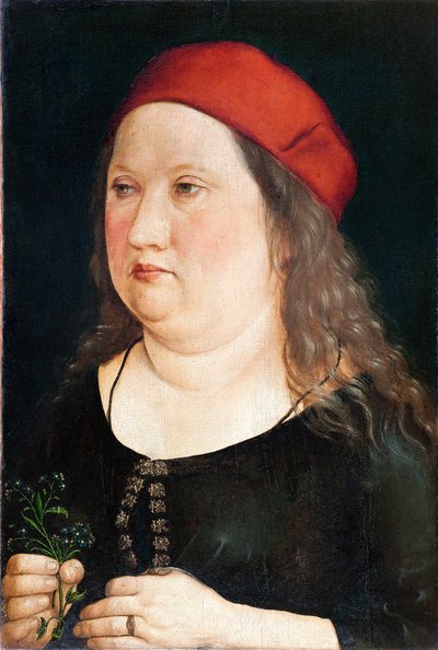 Portret van een man, 1497 door Albrecht Dürer