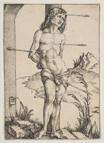  door Albrecht Dürer