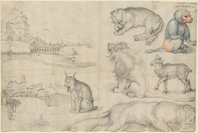 Schetsen van Dieren en Landschappen, 1521 door Albrecht Dürer