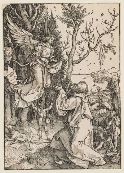 De engel verschijnt aan Joachim door Albrecht Dürer
