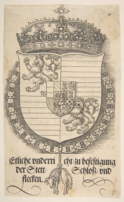 De wapens van Ferdinand I, koning van Hongarije en Bohemen door Albrecht Dürer
