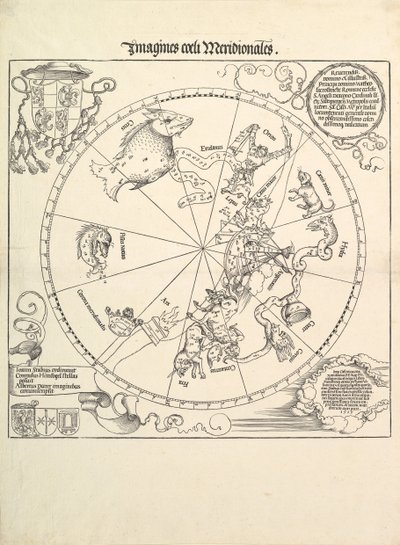 De hemelglobe - Zuidelijk halfrond, 1515 door Albrecht Dürer