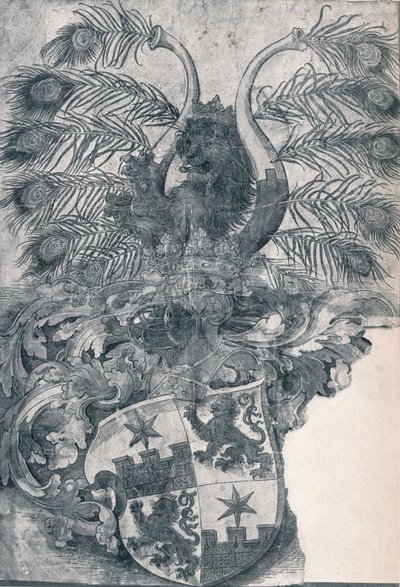 Het wapen van Wilhelm en Wolfgang Roggendorff, 1520 1906 door Albrecht Dürer
