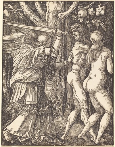  door Albrecht Dürer