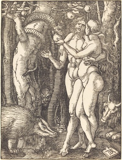 De Val van de Mens door Albrecht Dürer