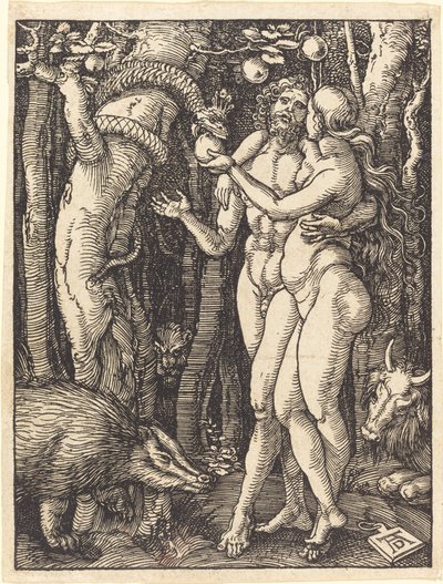 De val van de mens door Albrecht Dürer