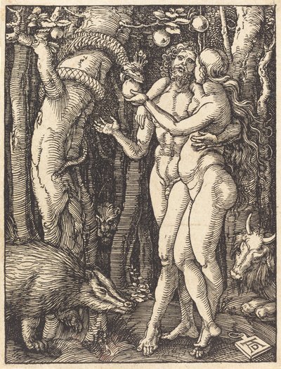 De Val van de Mens door Albrecht Dürer