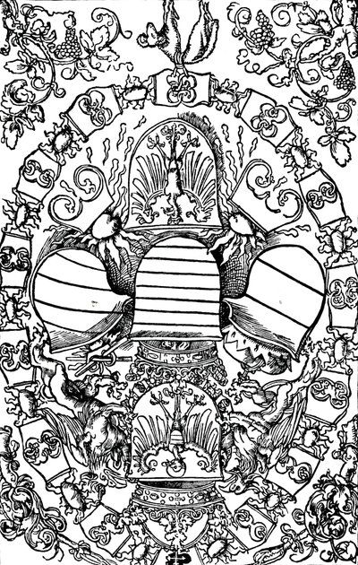 De vijf keizerlijke wapenschilden, 1515 1906 door Albrecht Dürer