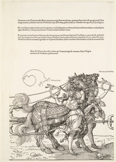  door Albrecht Dürer