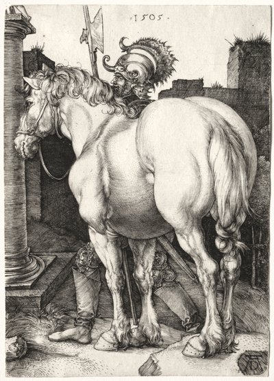 Het Grote Paard door Albrecht Dürer