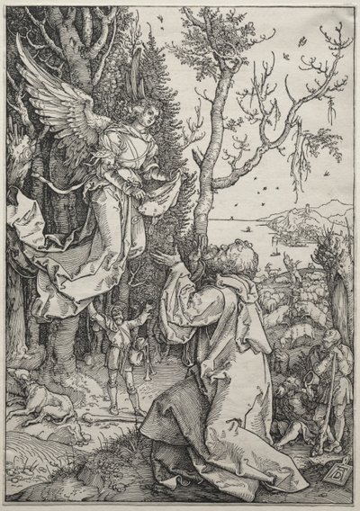 Het Leven van de Maagd: Joachim en de Engel door Albrecht Dürer