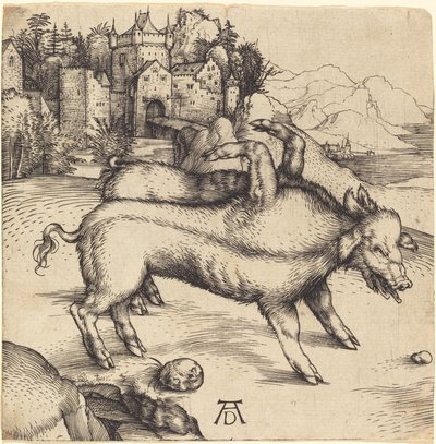 Het Monsterlijke Varken van Landser door Albrecht Dürer