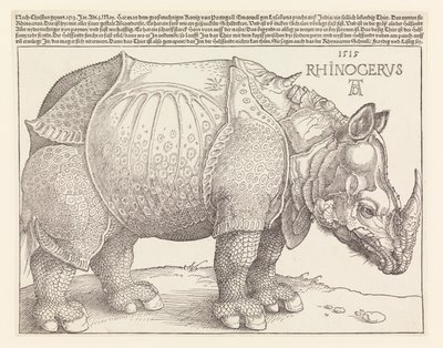 De neushoorn door Albrecht Dürer