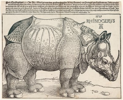 De neushoorn door Albrecht Dürer