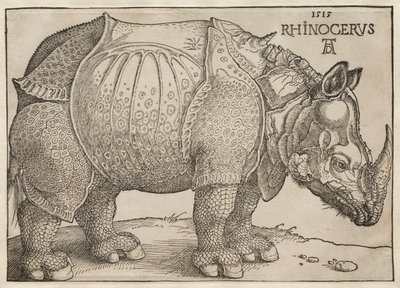 De neushoorn door Albrecht Dürer