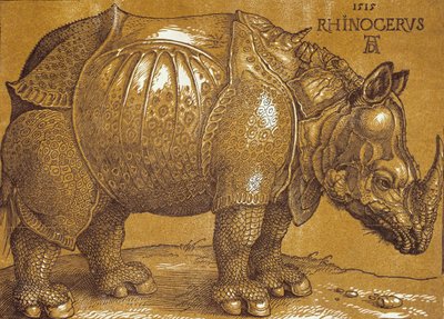 De Neushoorn, 1515 door Albrecht Dürer