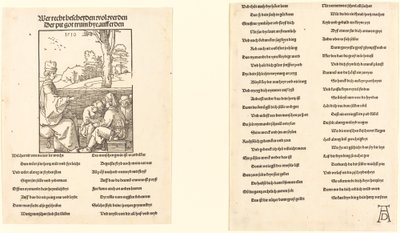 De schoolmeester door Albrecht Dürer