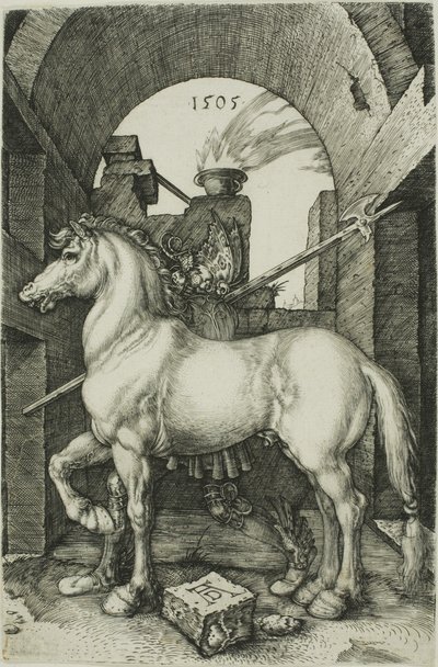 Het kleine paard door Albrecht Dürer