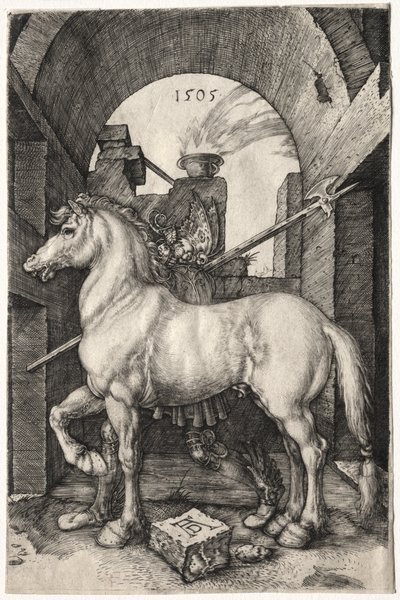 Het Kleine Paard door Albrecht Dürer