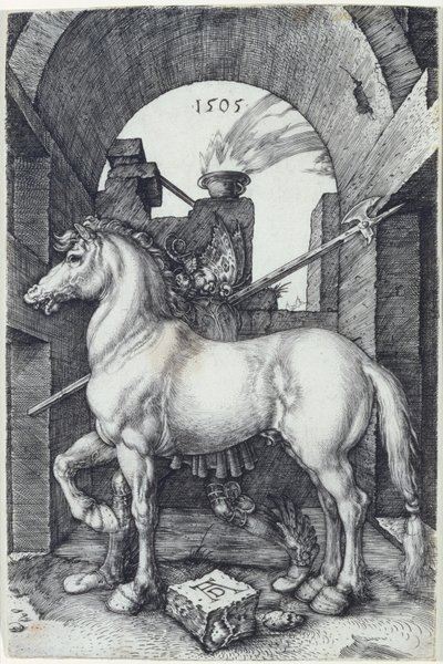 Het Kleine Paard door Albrecht Dürer