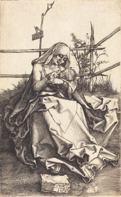 De Maagd en het Kind op een grasbank, 1503 door Albrecht Dürer