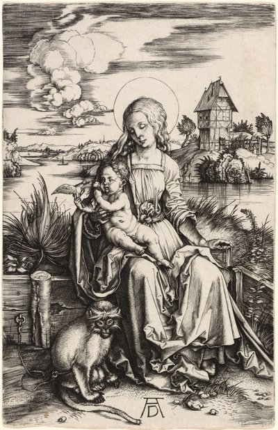 De Maagd en het Kind met de Aap door Albrecht Dürer